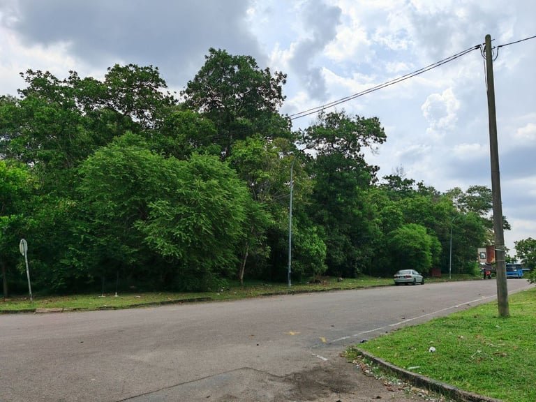 Residential Land For Sale