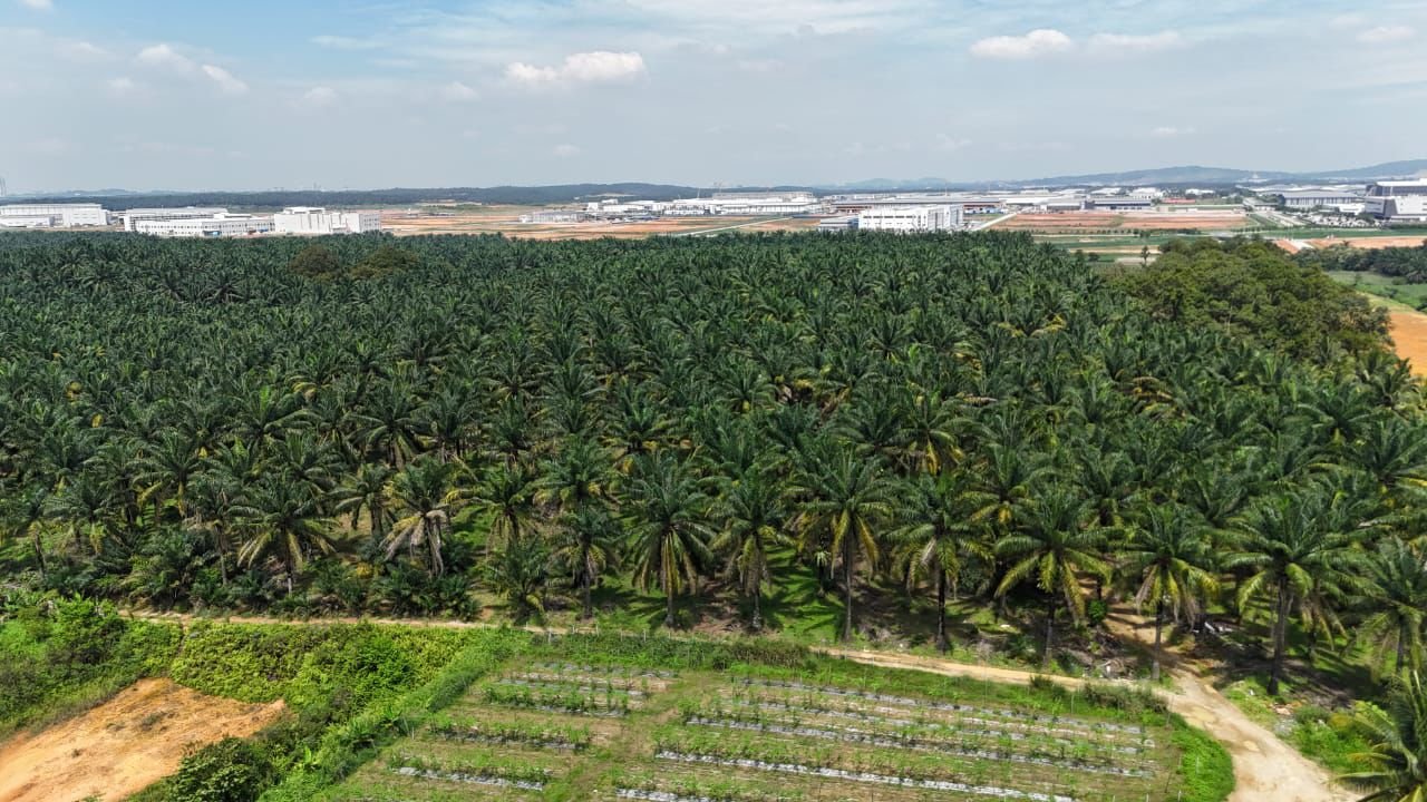 Industrial-Zoned Land for Sale property photo 4
