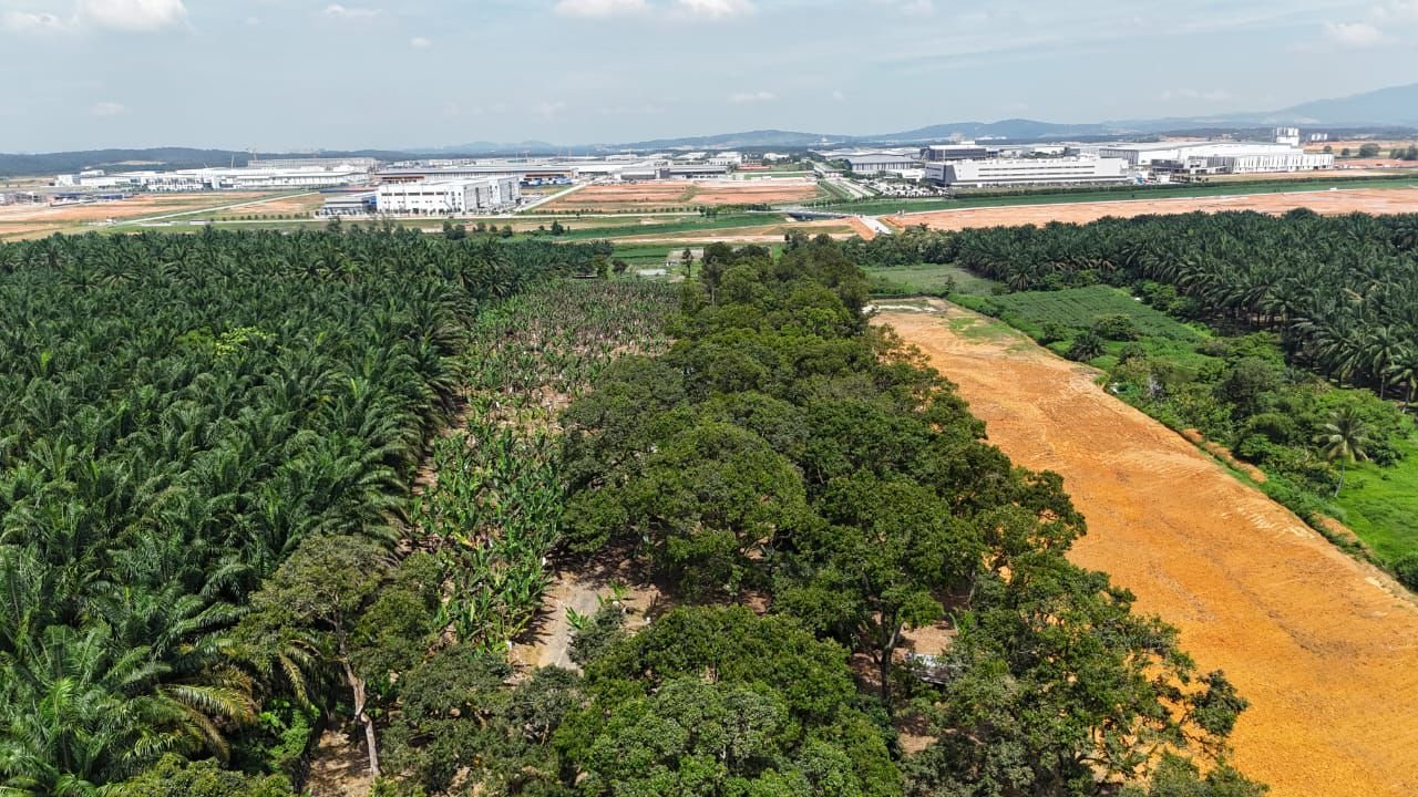 Industrial-Zoned Land for Sale property photo 8
