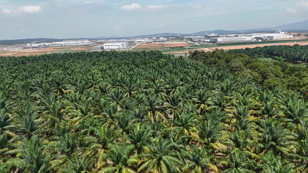 Industrial-Zoned Land for Sale property photo 9