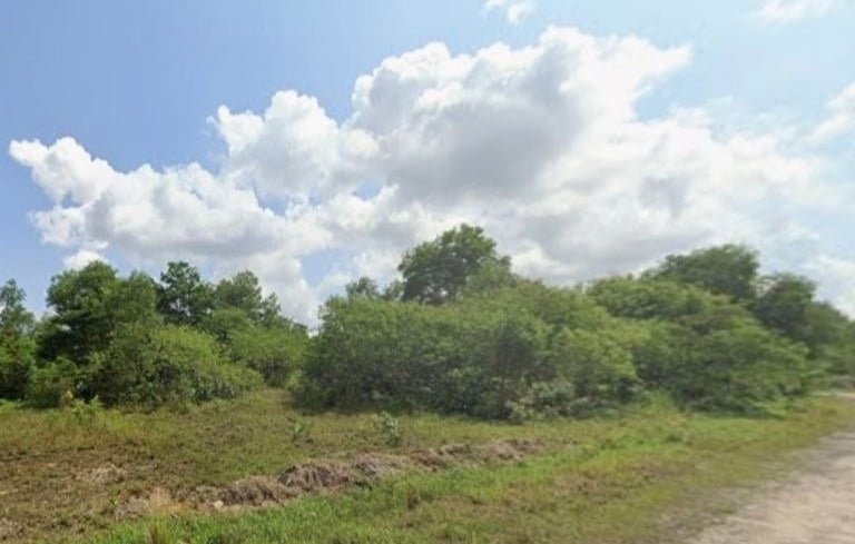 Land For Rent