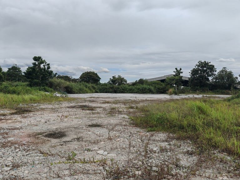 Agricultural Land For Rent
