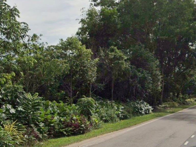 Commercial Land For Sale