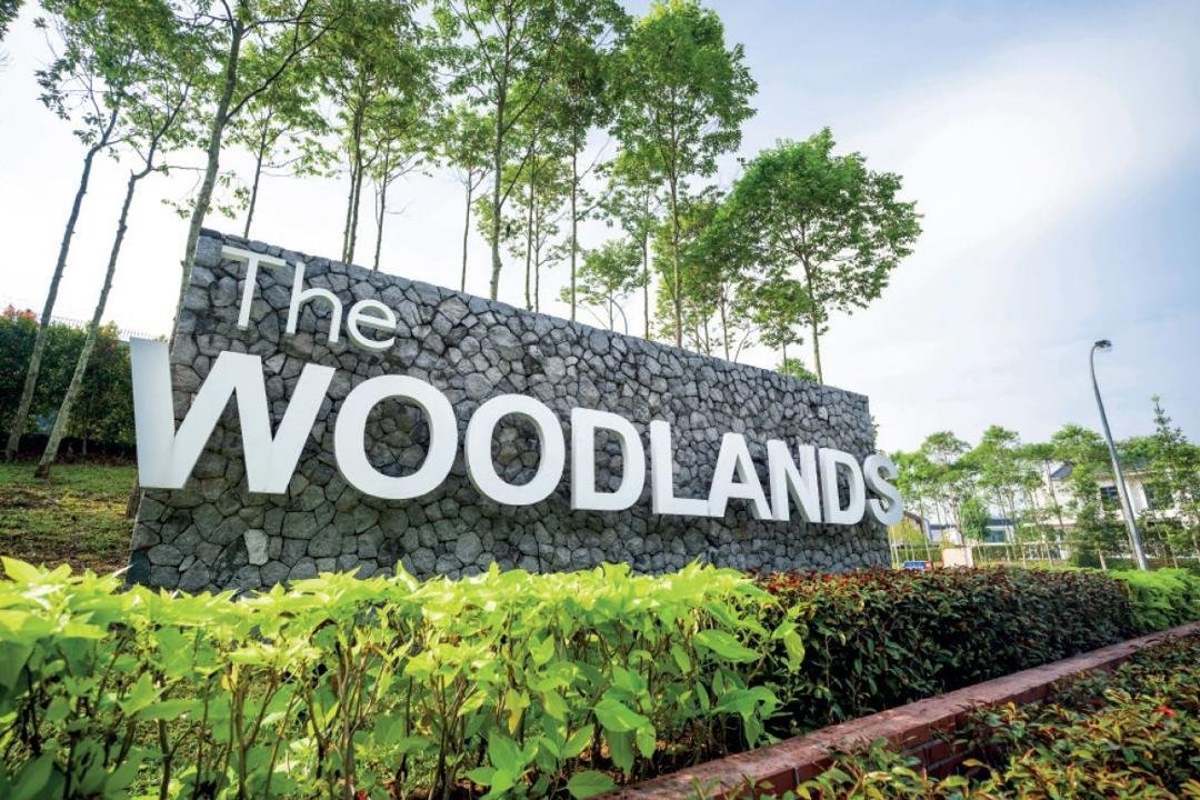 Horizon Hills The Woodlands cluster corner house 6