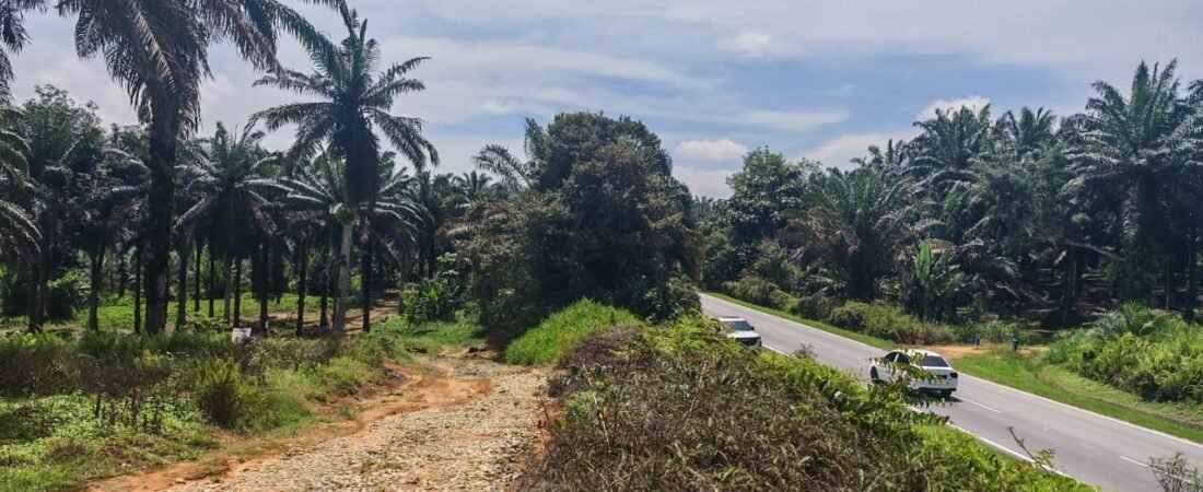 Agricultural Land for Sale