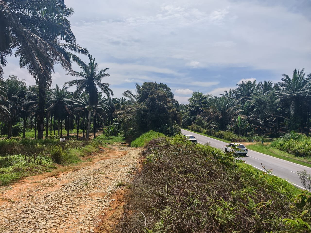 Agricultural Land for Sale property photo 2
