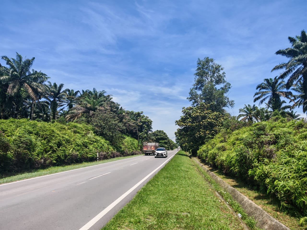 Agricultural Land for Sale property photo 3