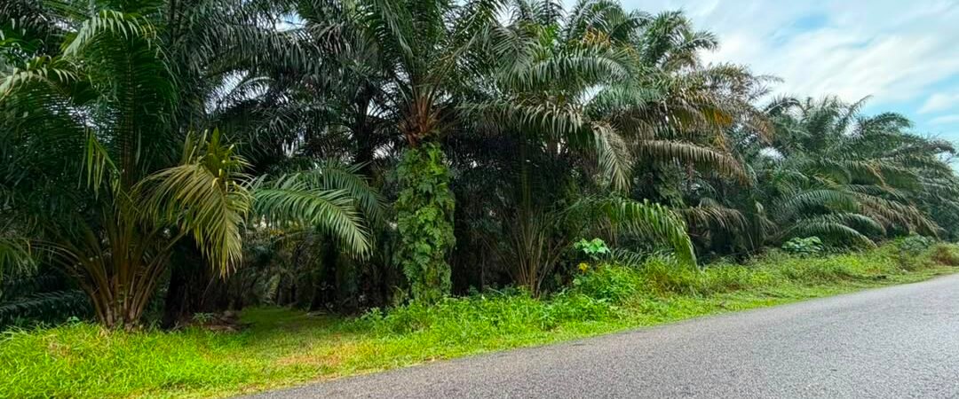 Agricultural Land for Sale
