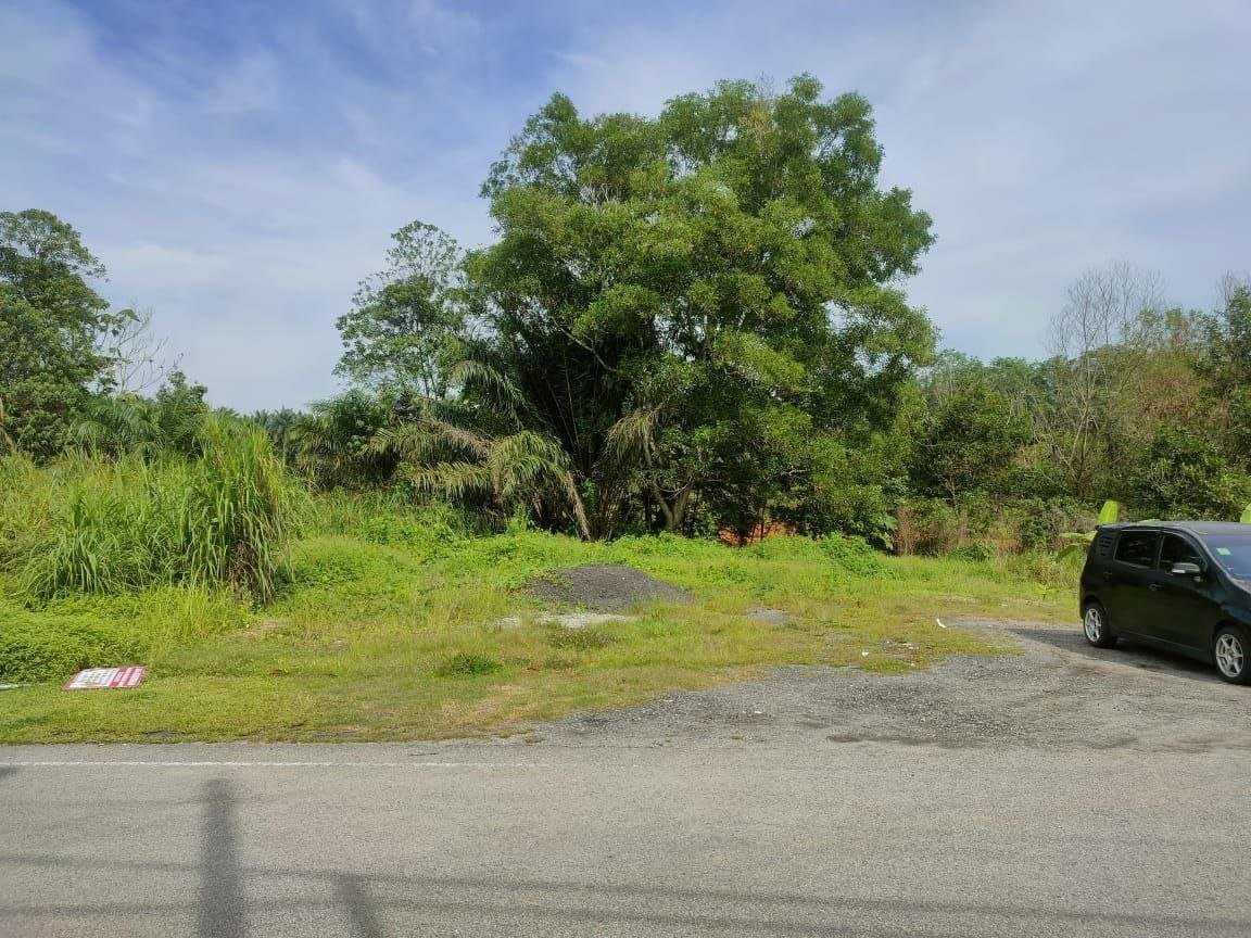 Residential Development Land for Sale property photo 2
