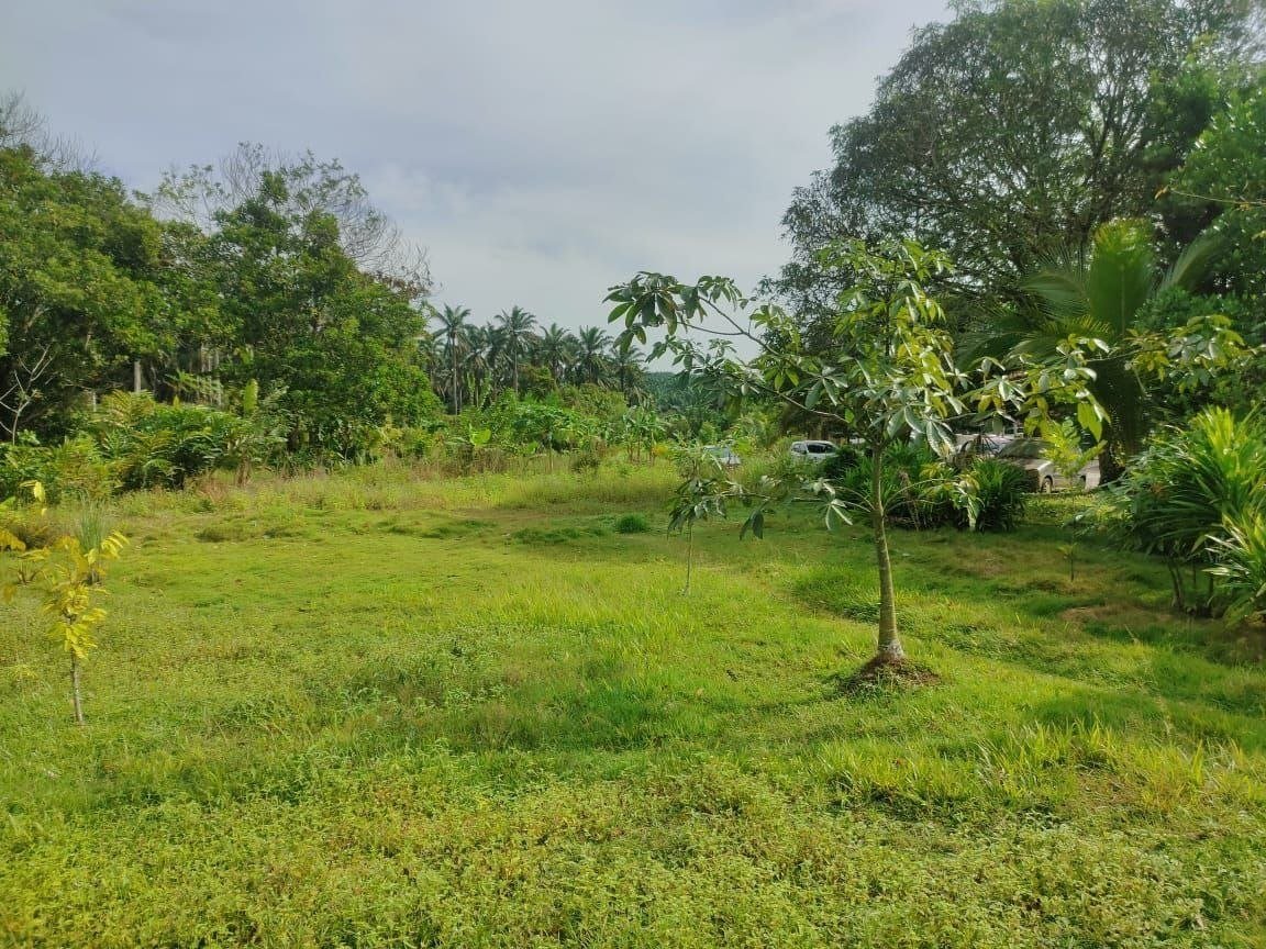 Residential Development Land for Sale property photo 3