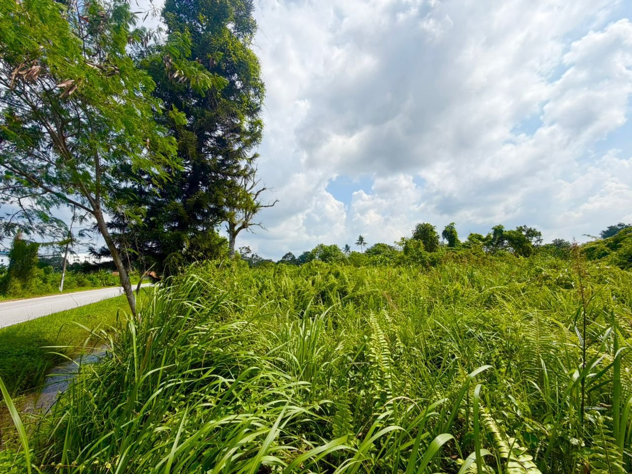 Medium Industrial Land for Sale at Gelang Patah, Johor photo 4