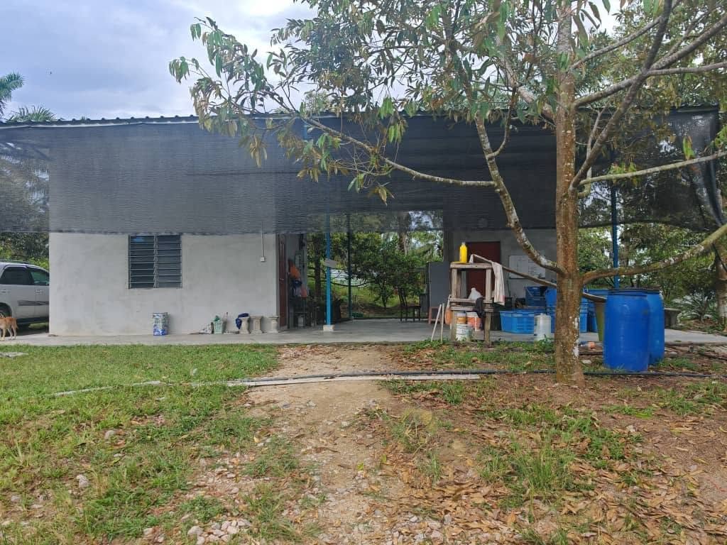 Durian Estate Agricultural Land for Sale at Kluang–Mersing Road