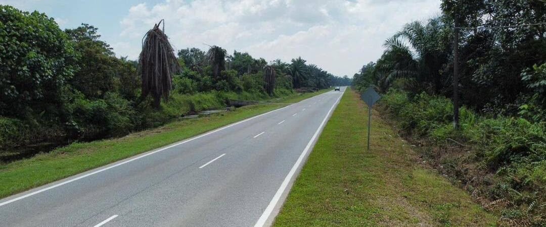 Agricultural Land for Sale