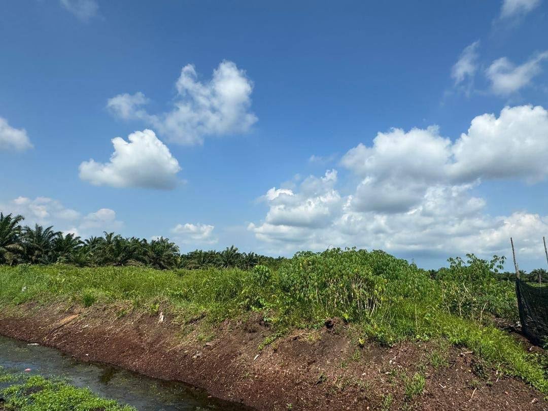 Agricultural Land for Sale property photo 2