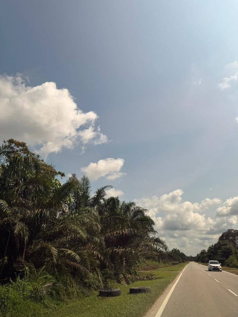 Agricultural Land for Sale property photo 3
