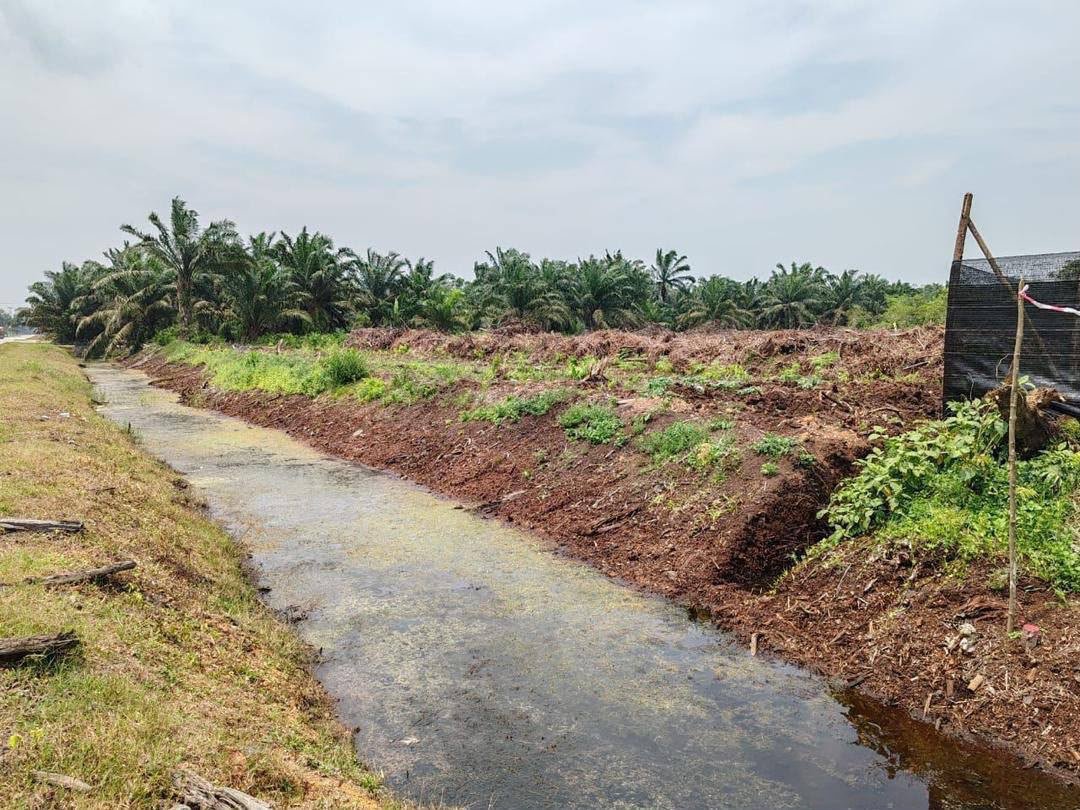 Agricultural Land for Sale property photo 4