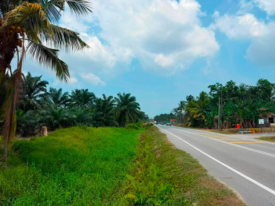 Oil Palm Agricultural Land for Sale property photo 4