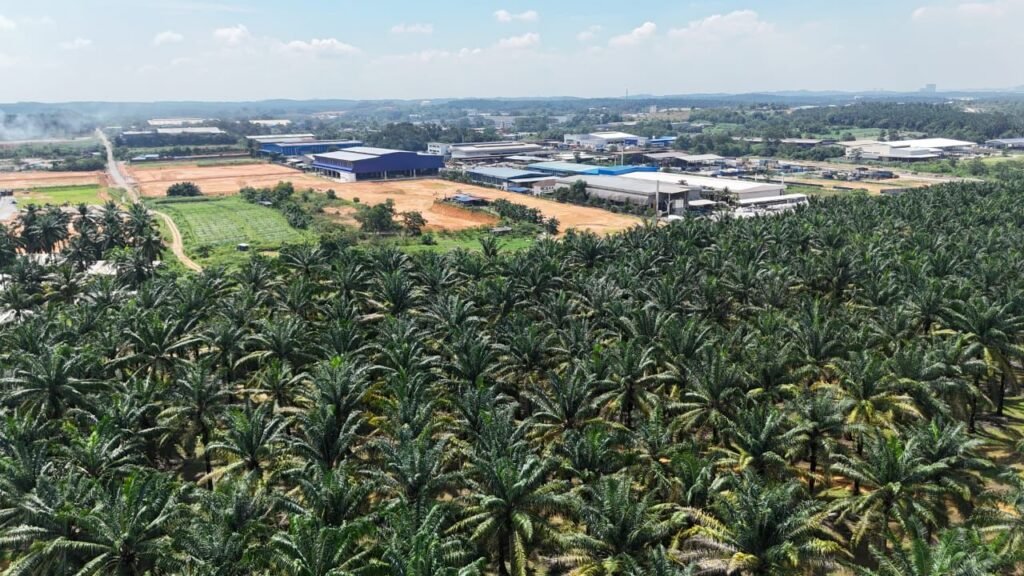 Industrial-Zoned Agricultural Land for Sale