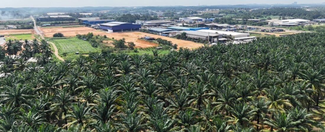 Industrial-Zoned Agricultural Land for Sale