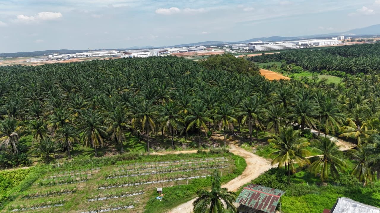 Industrial-Zoned Agricultural Land for Sale property photo 5