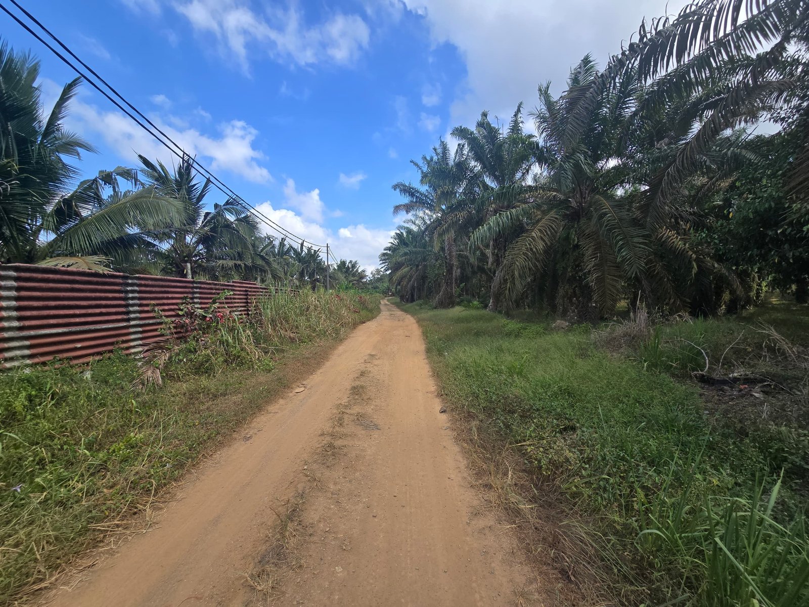 Agricultural Land for Sale property photo 2