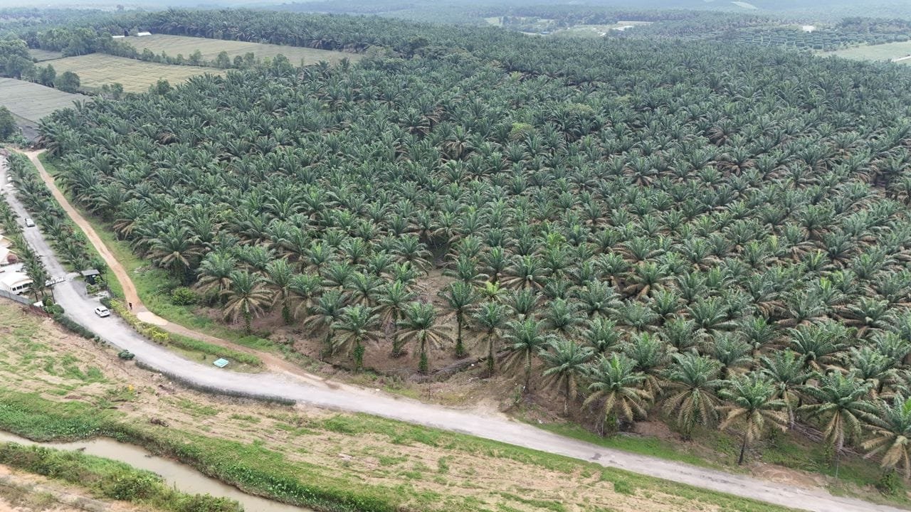 Agricultural Land for Sale property photo 5