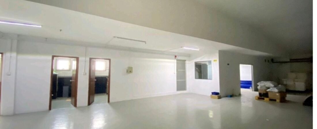 3-Storey Detached Factory for Rent