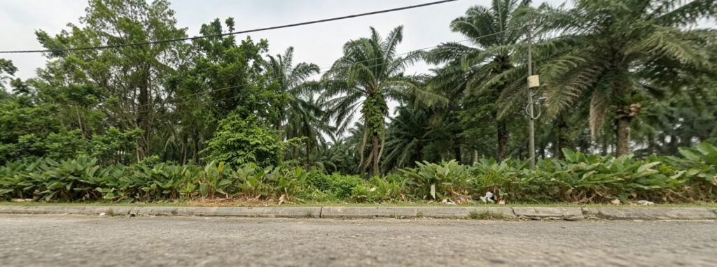 Industrial-Zoned Agricultural Land for Sale