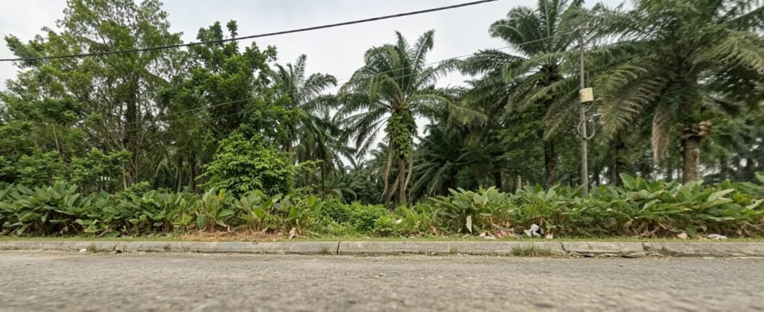 Industrial-Zoned Agricultural Land for Sale