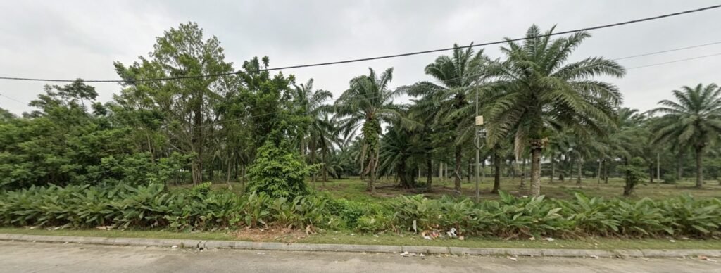 Industrial-Zoned Agricultural Land for Sale at Ulu Pulai – 8 Acres