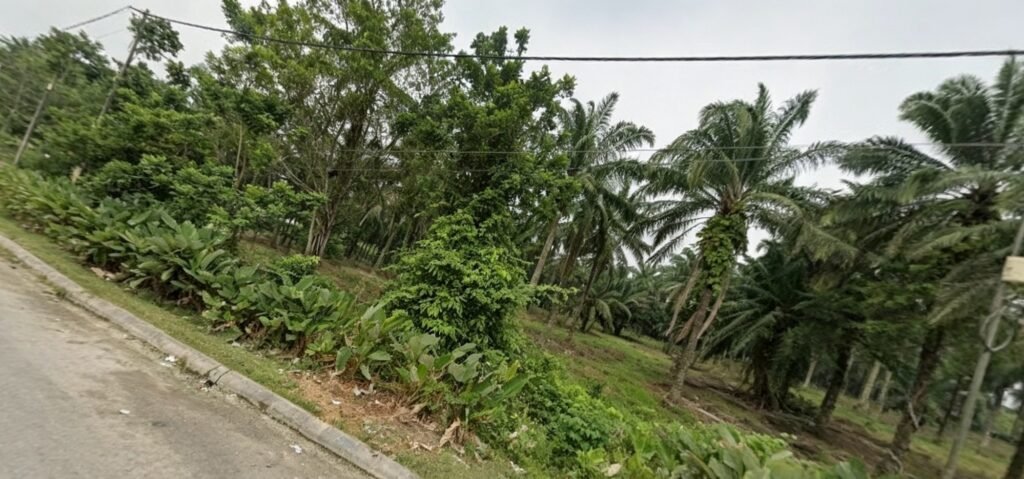 Industrial-Zoned Agricultural Land for Sale at Ulu Pulai – 8 Acres
