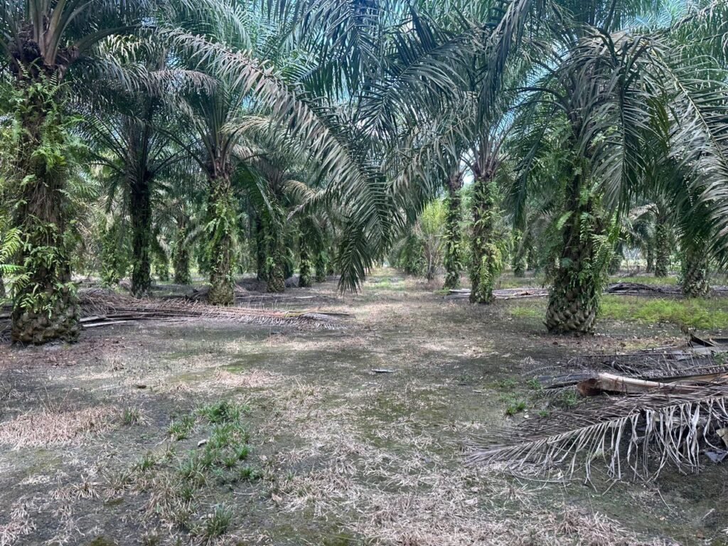 Industrial-Zoned Agricultural Land for Sale