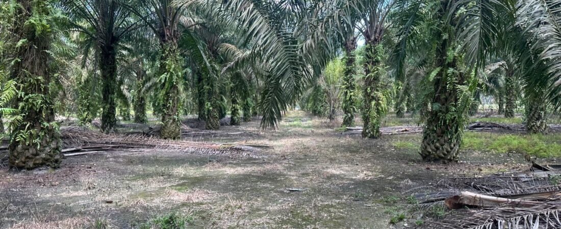 Industrial-Zoned Agricultural Land for Sale